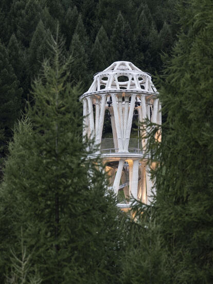 Tor Alva_Bäume